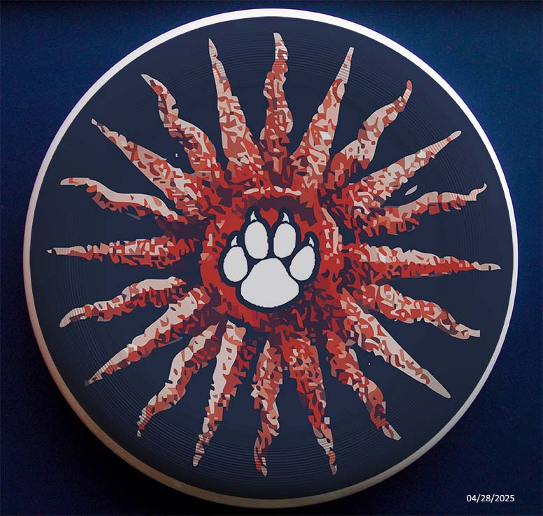 Burning Daylight Festival Frisbee