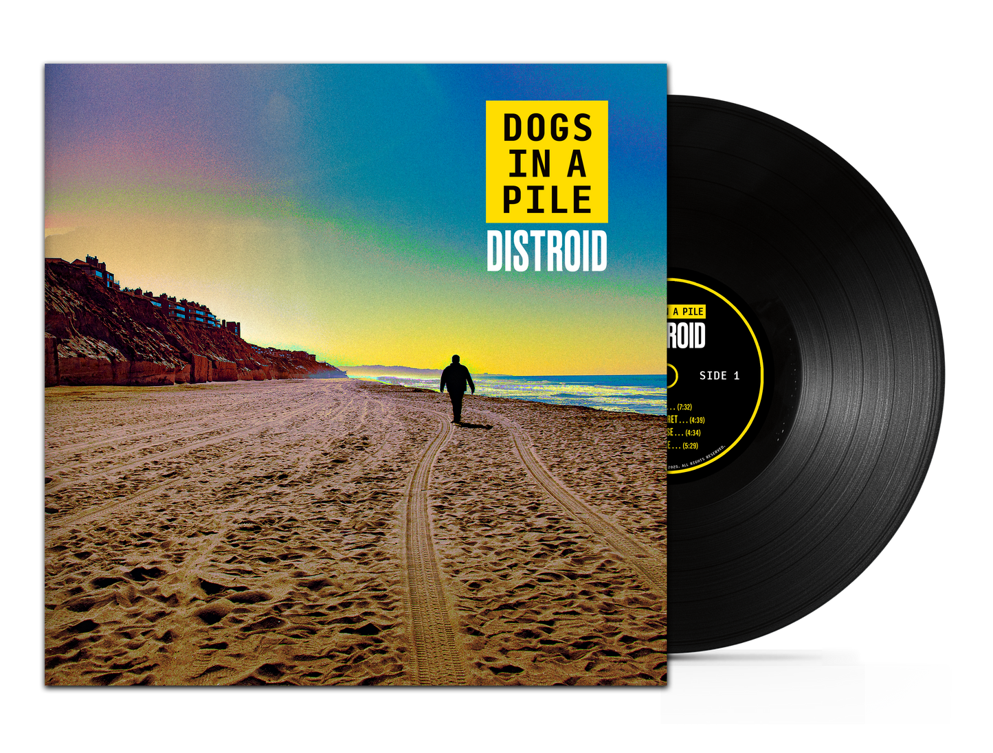 Distroid Vinyl - Limited Edition